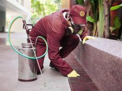 شركة رش مبيدات بالرياض