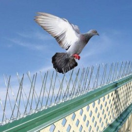 شركة تركيب طارد الحمام بالخرج