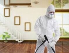 شركة مكافحة حشرات بالمجمعة