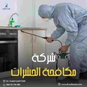 شركة مكافحة حشرات بجدة