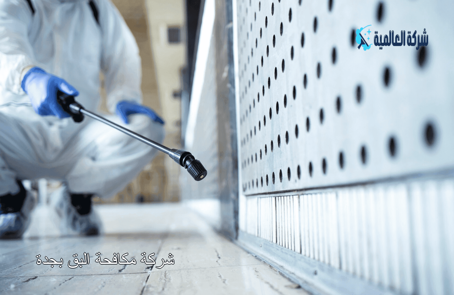 شركة مكافحة البق بجدة