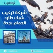 شركة طارد الحمام بجدة
