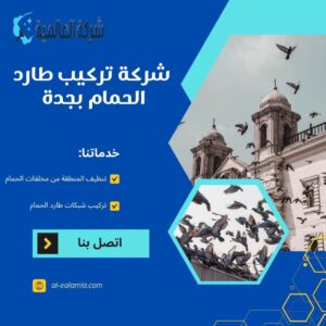 شركة تركيب طارد الحمام بجدة