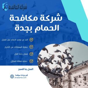 شركة مكافحة الحمام بجدة