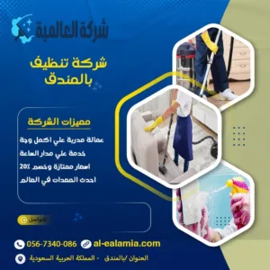 شركة تنظيف بالمندق