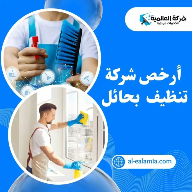 شركة تنظيف بحائل