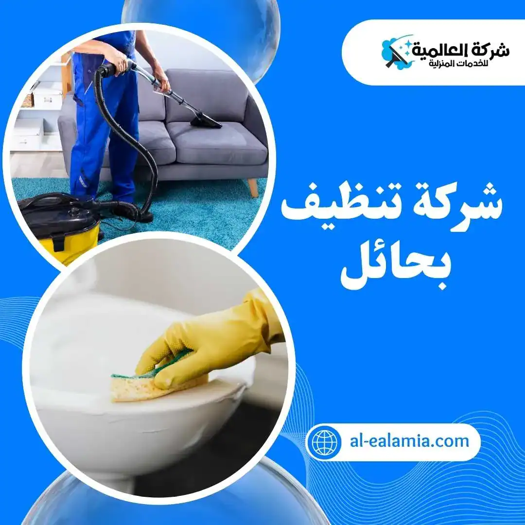 شركة تنظيف حائل