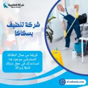 شركة تنظيف بسكاكا